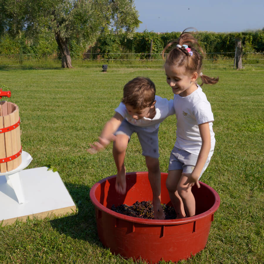attrazioni bambini didattico